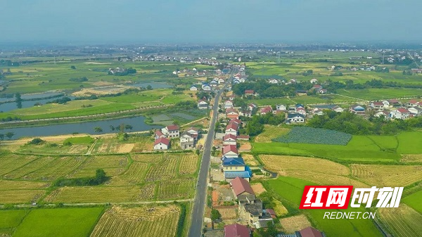 ▲湖南農(nóng)村公路在全國率先實(shí)現(xiàn)由“村村通”變?yōu)椤敖M組通”。.png