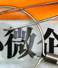 張家界市召開“個(gè)轉(zhuǎn)企、小升規(guī)”工作第二次調(diào)度會(huì)