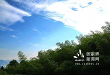 八大公山，林海尋真之旅